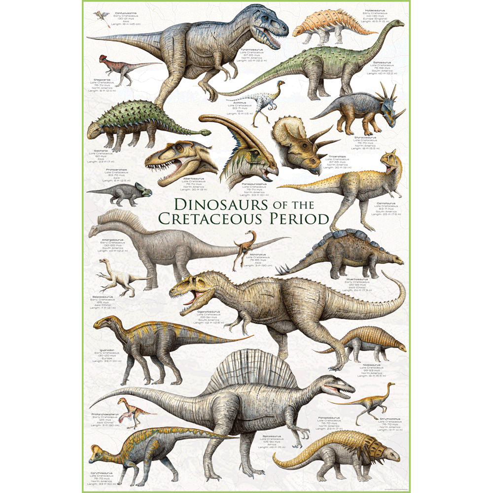 24 x 36 inch Non-Laminated Paper Poster Depicting Various Dinosaurs from the Cretaceous Period by EuroGraphics.