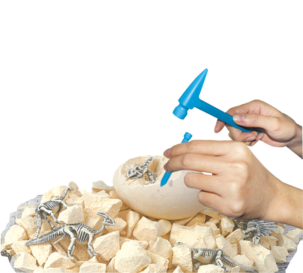 Dinosaur Fossil Dig Adventure Assorted Styles – MightyToy